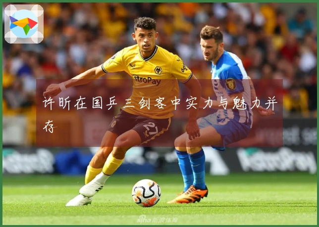 许昕在国乒三剑客中实力与魅力并存