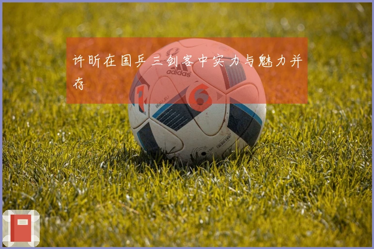 许昕在国乒三剑客中实力与魅力并存