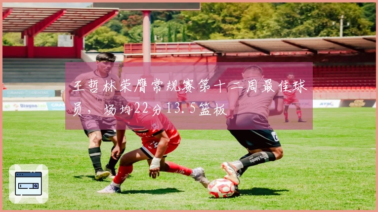 王哲林荣膺常规赛第十二周最佳球员，场均22分13.5篮板